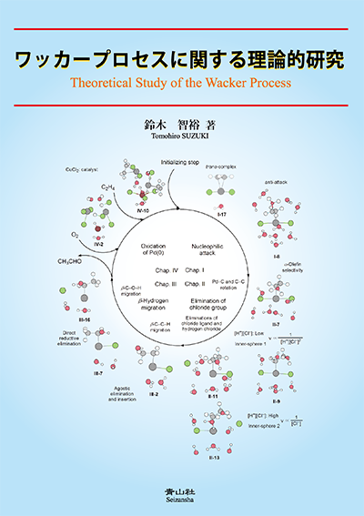 ワッカープロセスに関する理論的研究